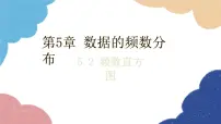 湘教版八年级下册5.2 频数直方图教课内容课件ppt