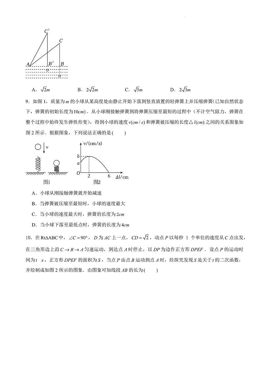 南山实验教育集团2023-2024学年初三年级第二次学业质量监测数学试卷+答案第2页