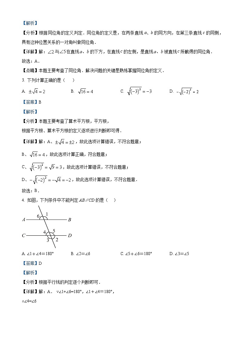 54，云南省昭通市绥江县2023-2024学年七年级下学期4月月考数学试题02