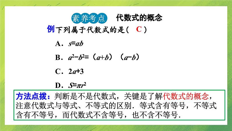 北师大数学七年级上册第三章 3.2代数式(第1课时)课件PPT第8页