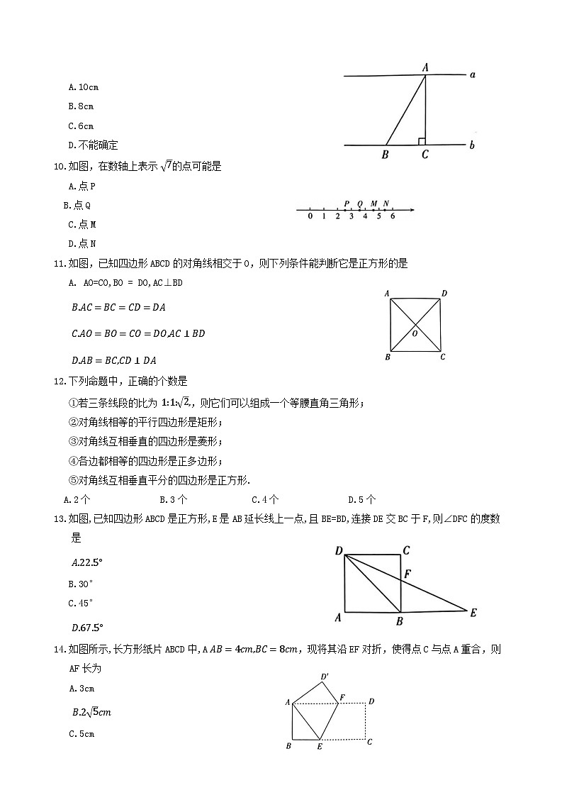 云南省昭通市永善县2023-2024学年八年级下学期5月期中数学试题02