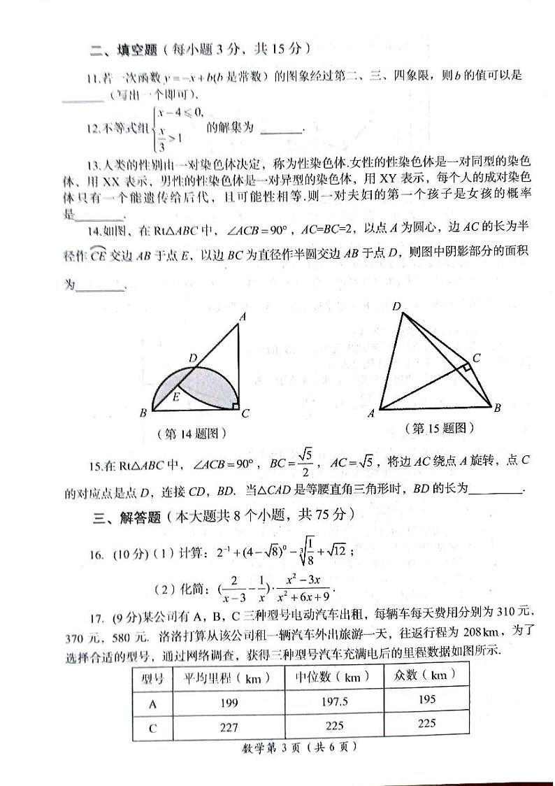 2024年河南省洛阳市中考一模数学试题第3页