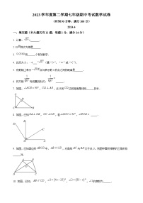 上海市曹杨二中附属江桥实验中学2023-2024学年七年级下学期期中数学试题（原卷版+解析版）