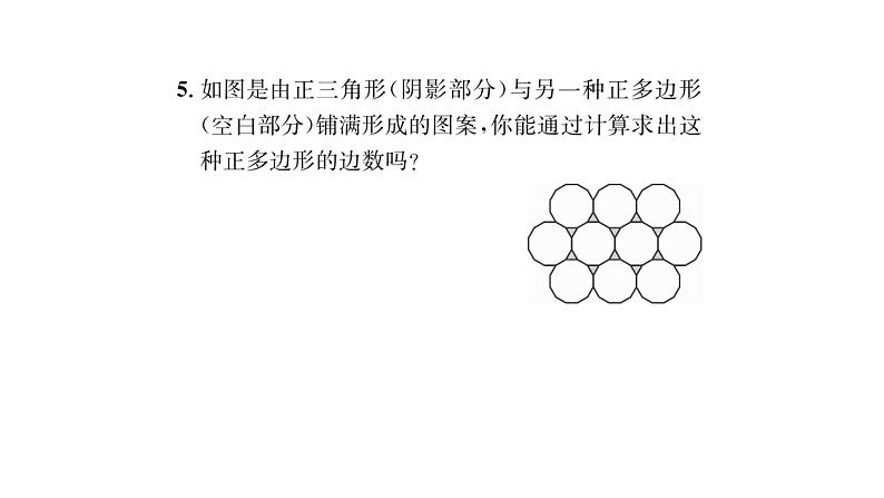 9.3.2 用多种正多边形 华师大版数学七年级下册习题课件05