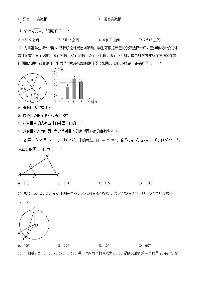 2024年云南省昭通市昭阳区九年级中考一模数学试题（原卷版+解析版）03