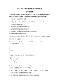 河南省许昌市长葛市2023-2024学年七年级下册期中数学试题（含解析）