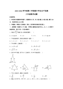 山东省烟台市莱州市2023-2024学年八年级下册期中数学试题（含解析）