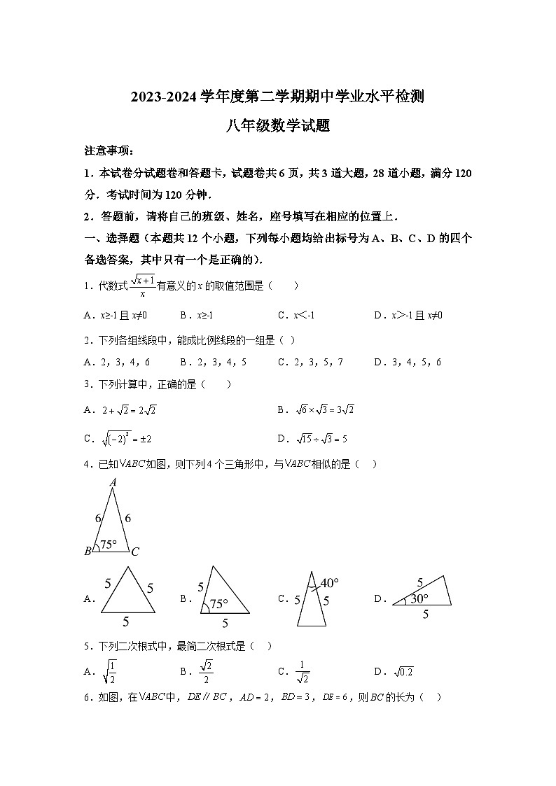 山东省烟台市莱州市2023-2024学年八年级下册期中数学试题（含解析）01