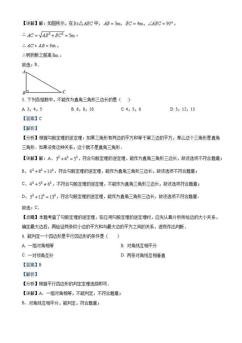 广东省汕尾市陆丰市南塘中学2023-2024学年八年级下学期期中数学试题（解析版）第3页