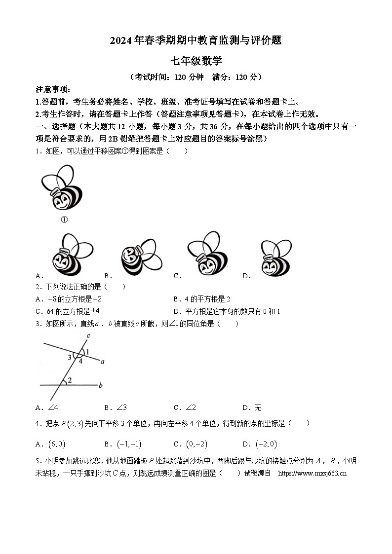 01，广西玉林市玉州区2023-2024学年七年级下学期期中考试数学试题01