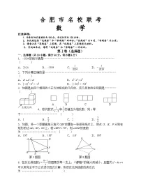 10,2024年安徽省合肥市名校联考中考模拟数学试题