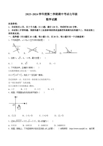 11，河南省漯河市临颍县2023-2024学年七年级下学期期中数学试题