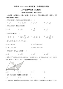 河北省张家口市宣化区2023-2024学年八年级下学期期中数学试题（原卷版+解析版）