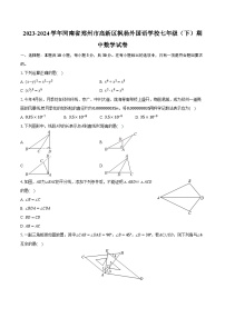 2023-2024学年河南省郑州市高新区枫杨外国语学校七年级（下）期中数学试卷（含解析）