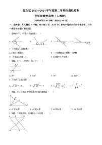 河北省张家口市宣化区2023-2024学年七年级下学期期中数学试题（原卷版+解析版）