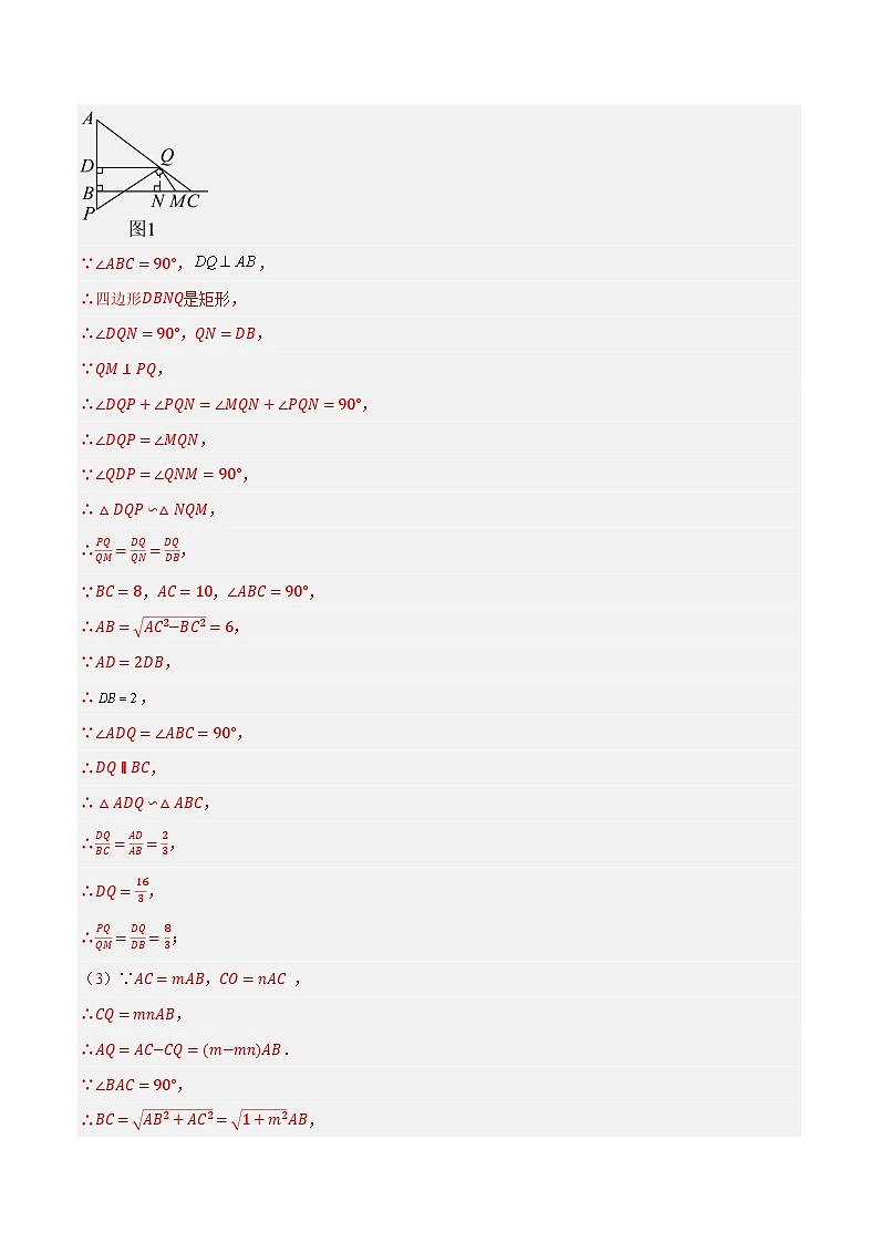 专题10 解答题压轴题（几何探究）-2024年中考数学压轴题（安徽专用）03