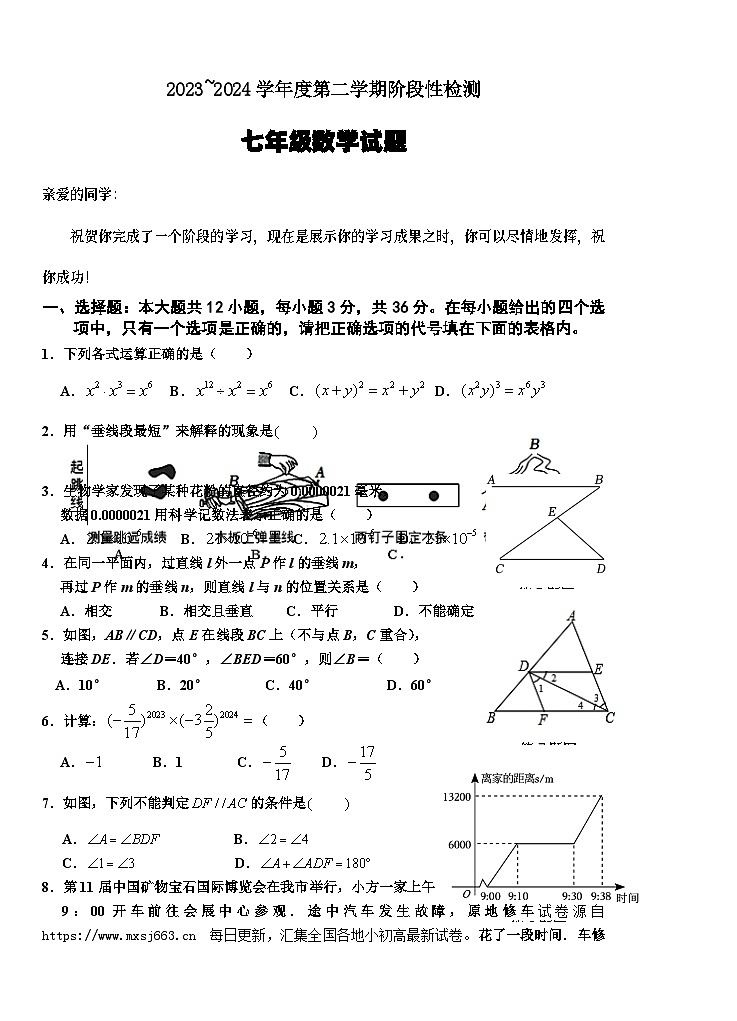 山东省枣庄市台儿庄区2023-2024学年七年级下学期期中考试数学试题01