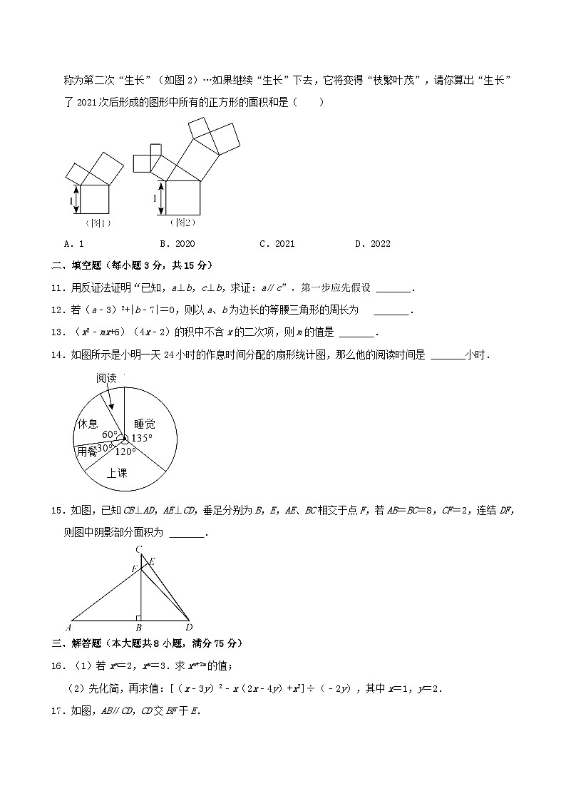 2021-2022学年河南省洛阳市嵩县八年级上学期期末数学试题及答案03