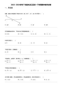 2023_2024学年广东韶关浈江区初一下学期期中数学试卷