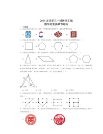 2024北京初三一模数学试题分类汇编：图形的变换章节综合