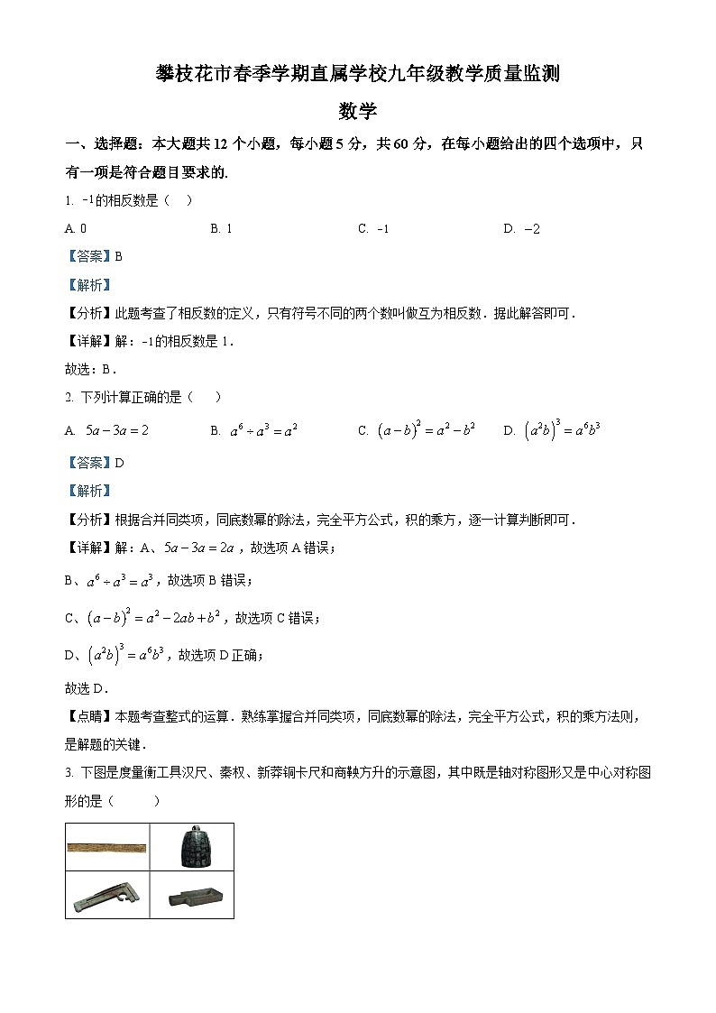 2024年四川省攀枝花市市直属学校中考二模数学试题（解析版）第1页