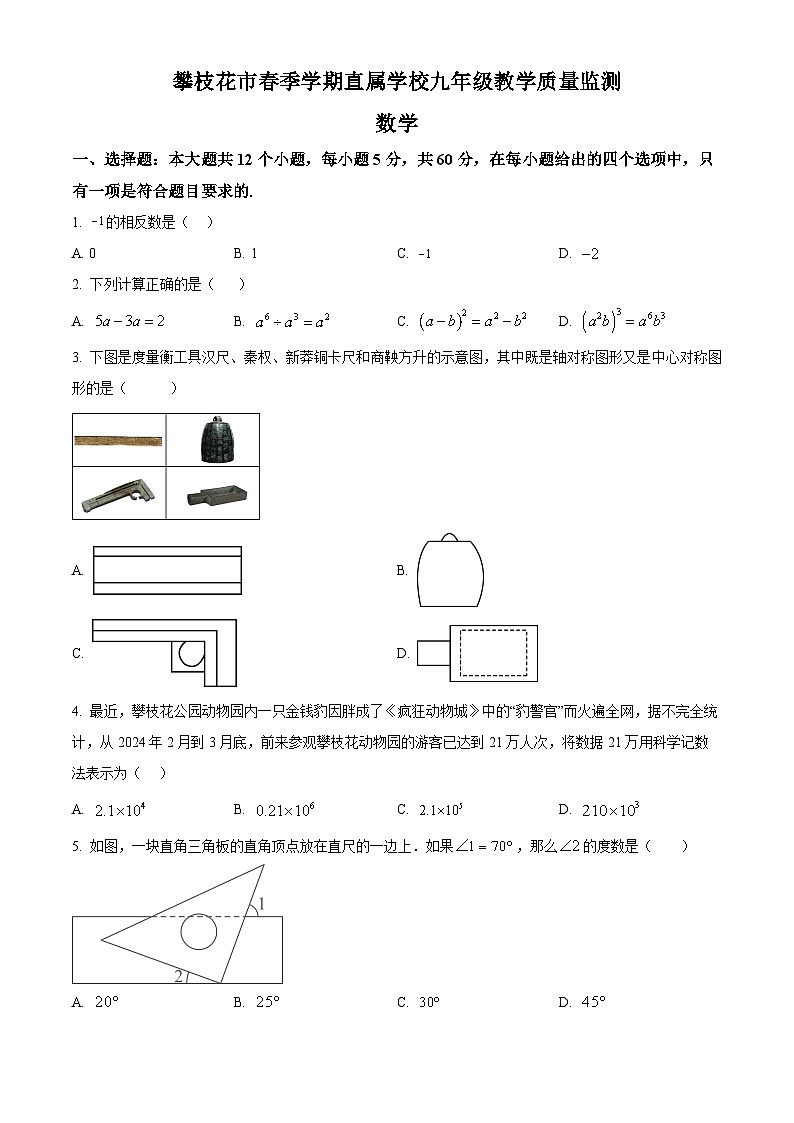 2024年四川省攀枝花市市直属学校中考二模数学试题（原卷版）第1页