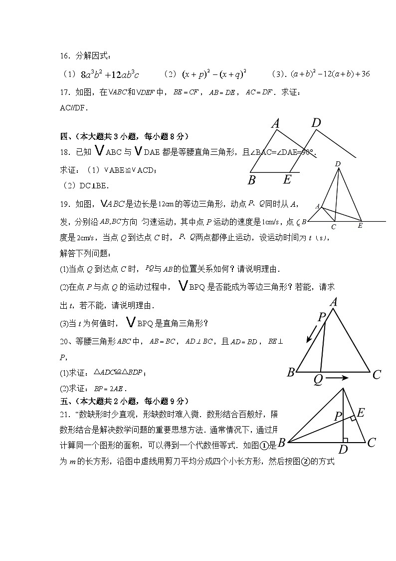 19，江西省瑞金市黄柏乡初级中学2023-2024学年上学期10月月考八年级数学试题03