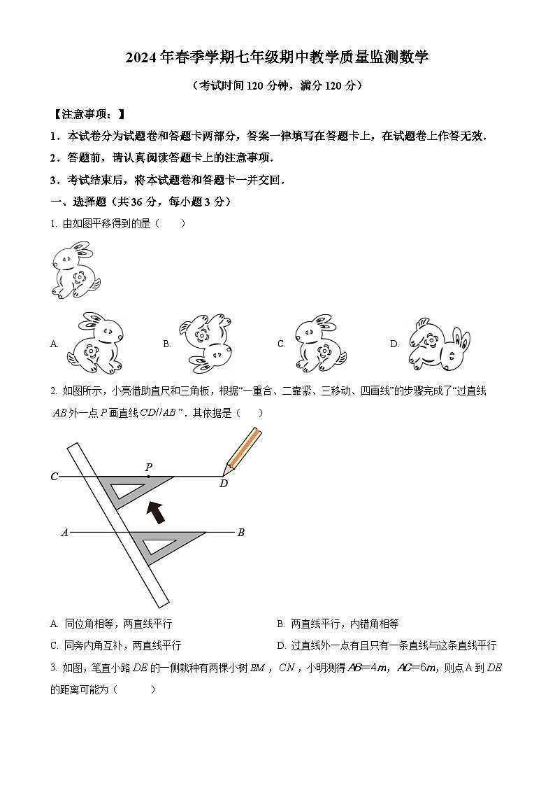 广西壮族自治区防城港市上思县2023-2024学年七年级下学期期中数学试题（原卷版+解析版）01
