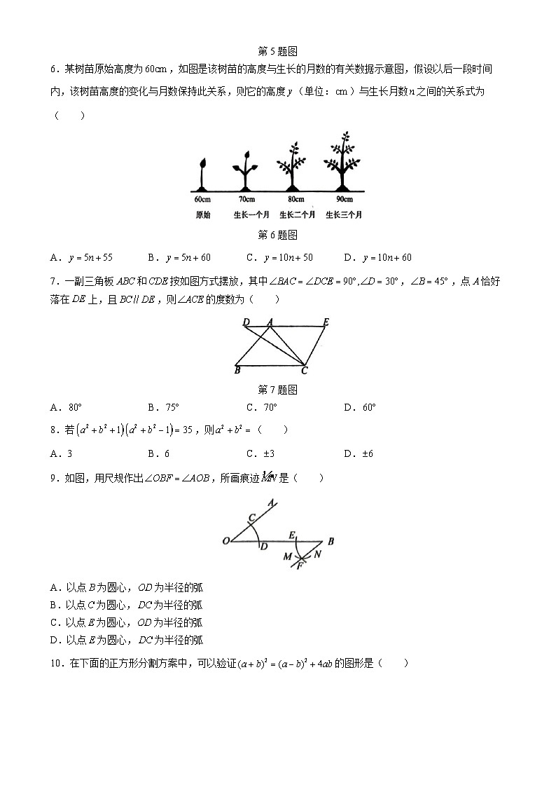 ++山东省枣庄市滕州市2023-2024学年七年级下学期期中考试数学试题第2页