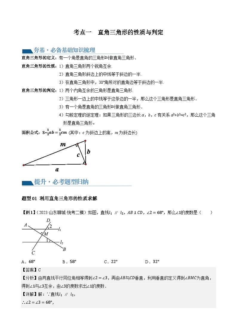 2024年中考数学复习讲义 第19讲 直角三角形(含答案)第3页