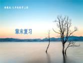 湘教數(shù)學(xué)9年級(jí)上冊(cè) 1.4 章末復(fù)習(xí) PPT課件