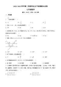 精品解析：甘肃省武威市凉州区2022-2023学年七年级下学期期末数学试题（原卷版+解析版）