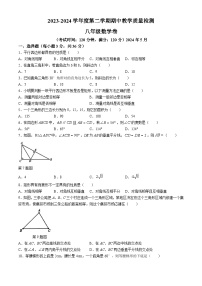 广西壮族自治区北海市合浦县2023-2024学年八年级下学期期中数学试题