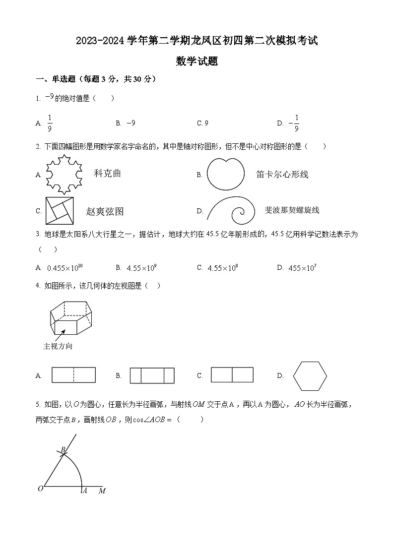 2024年黑龙江省大庆市龙凤区中考二模数学试题（原卷版+解析版）01