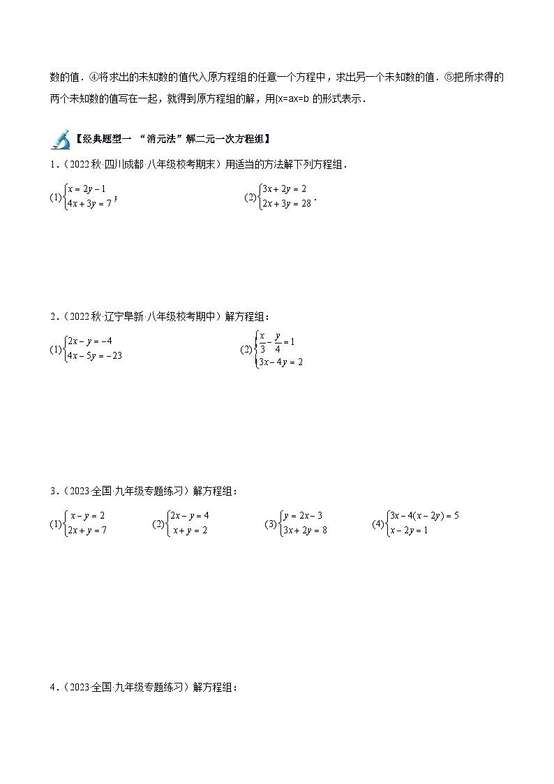 人教版七年级数学下册重难点专题提升专题11二元一次方程组解法重难点题型分类专训(原卷版+解析)02