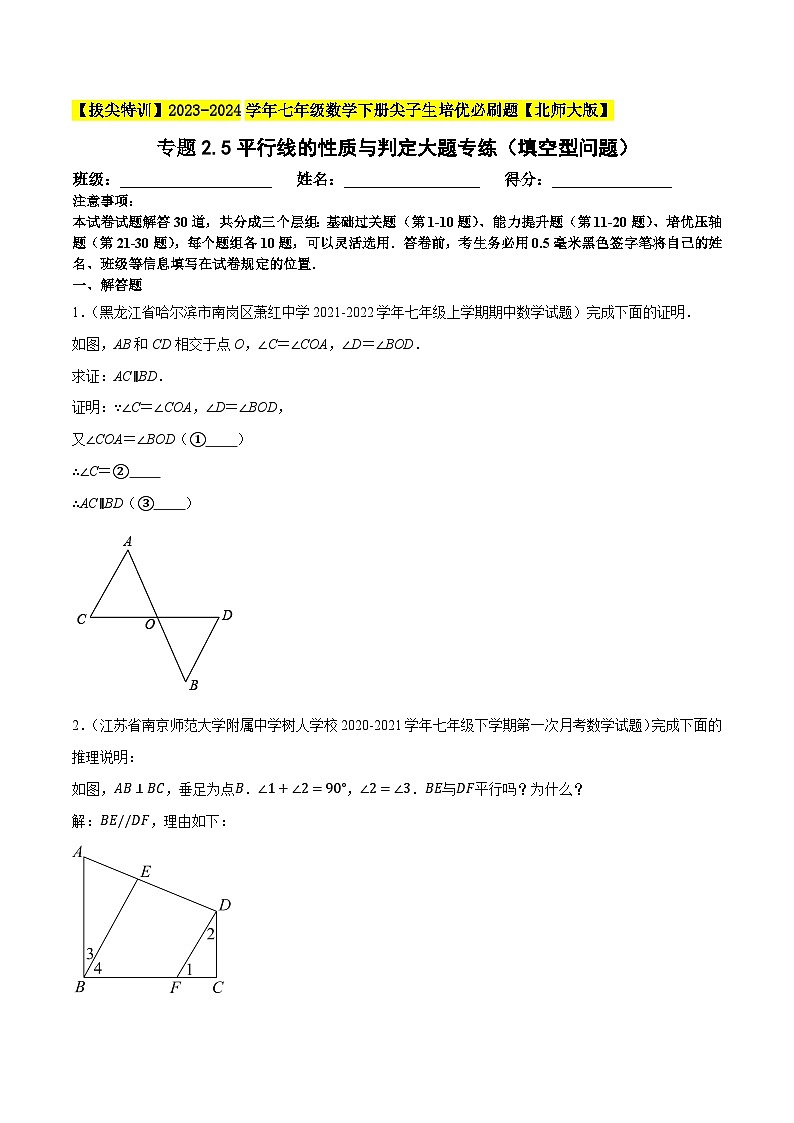 北师大版七年级数学下册专题2.5平行线的性质与判定大题专练(填空型问题)(原卷版+解析)第1页