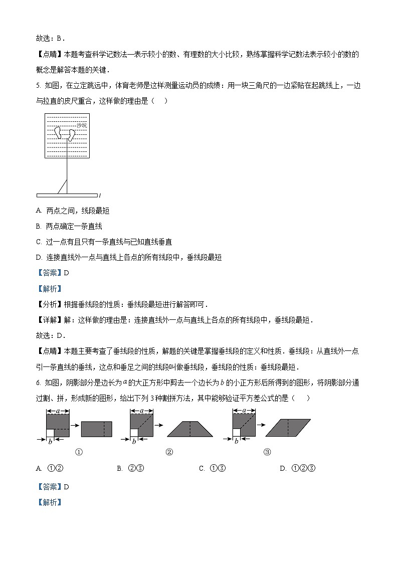 河南省平顶山市汝州市2023-2024学年七年级下学期期中数学试题（解析版）第3页