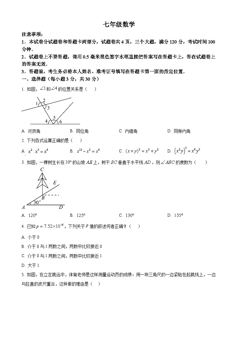 河南省平顶山市汝州市2023-2024学年七年级下学期期中数学试题（原卷版）第1页
