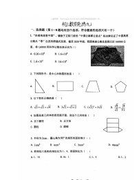 2024北京北师大附中初三下学期统练九数学试卷（无答案）