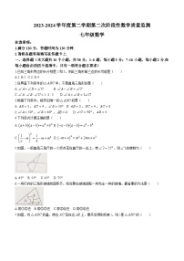 河北省保定市高碑店市2023-2024学年七年级下学期月考数学试题(无答案)