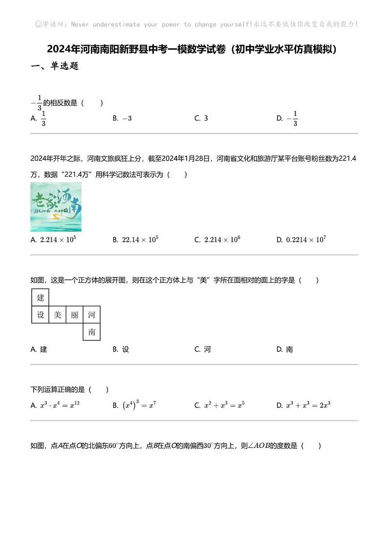2024年河南南阳新野县中考一模数学试卷（初中学业水平仿真模拟）01