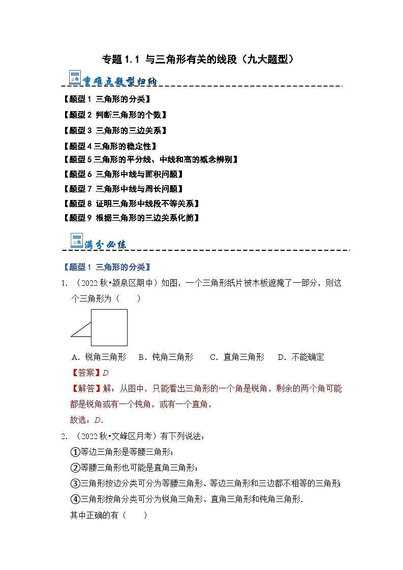 专题1.1 与三角形有关的线段（九大题型）（解析版）第1页