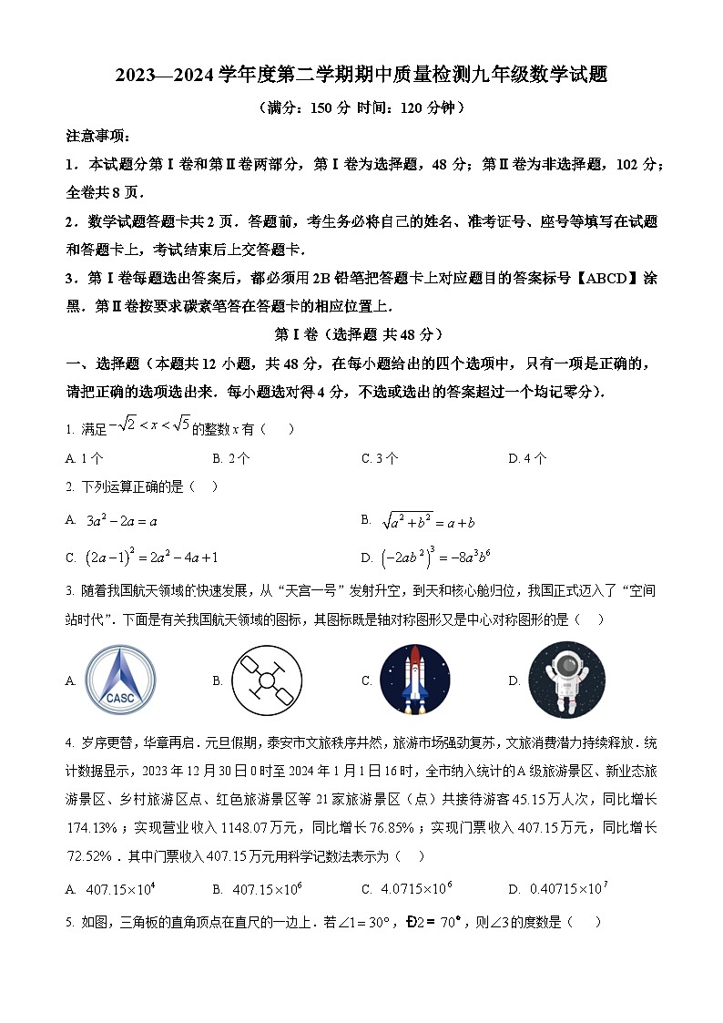 山东省泰安市宁阳县2023-2024学年九年级下学期期中数学试题（原卷版）第1页