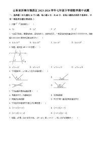 山东省济南市槐荫区2023-2024学年七年级下学期期中数学试题