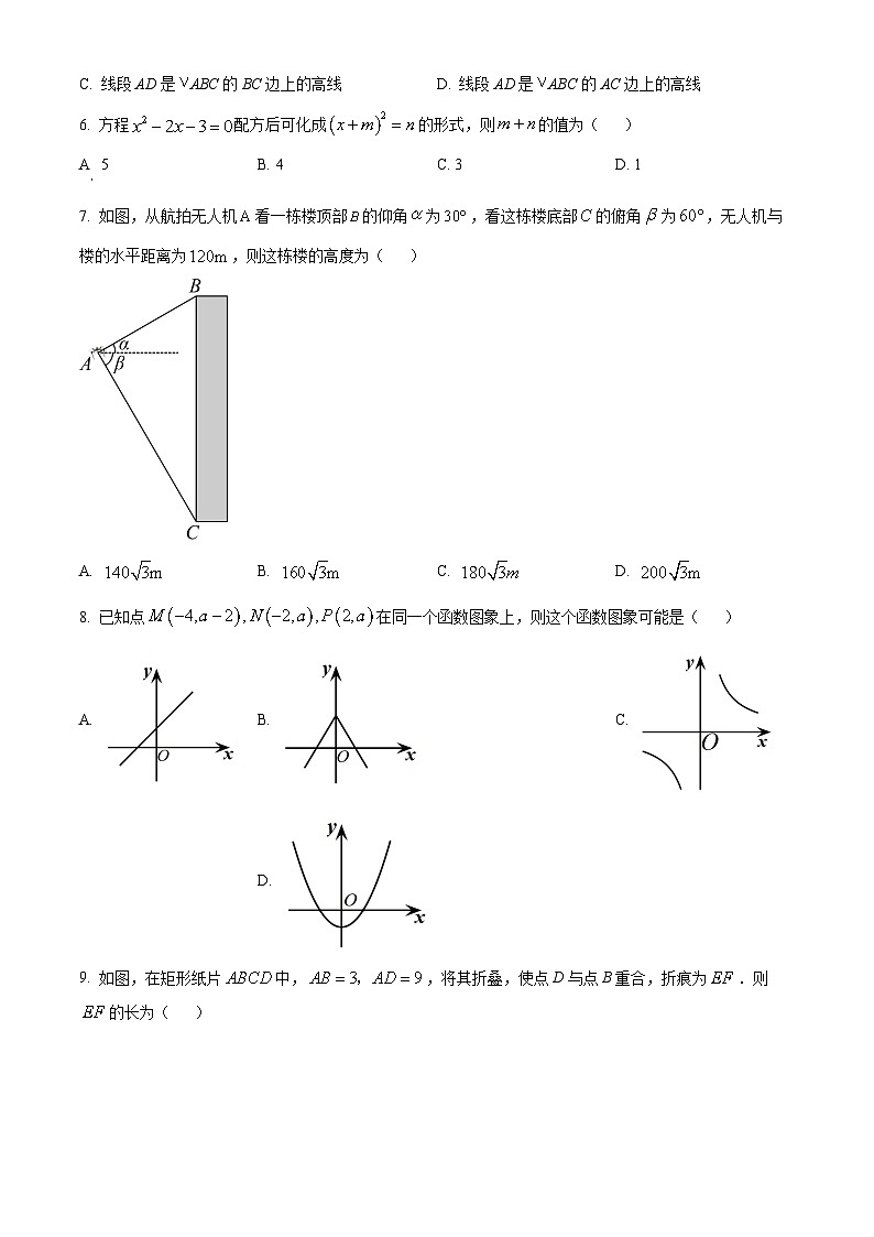 2024年山东省德州市中考二模数学试题（原卷版）第2页