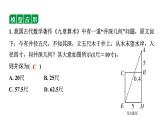 中考数学一轮知识点复习  微专题 四大常考相似模型（课件）
