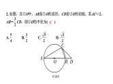 中考数学一轮知识点复习  微专题 四大常考相似模型（课件）