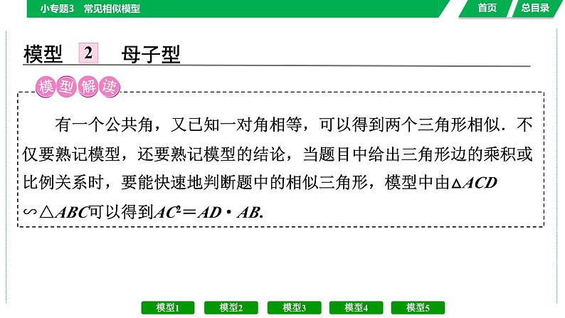 中考数学复习课件  小专题3　常见相似模型第4页