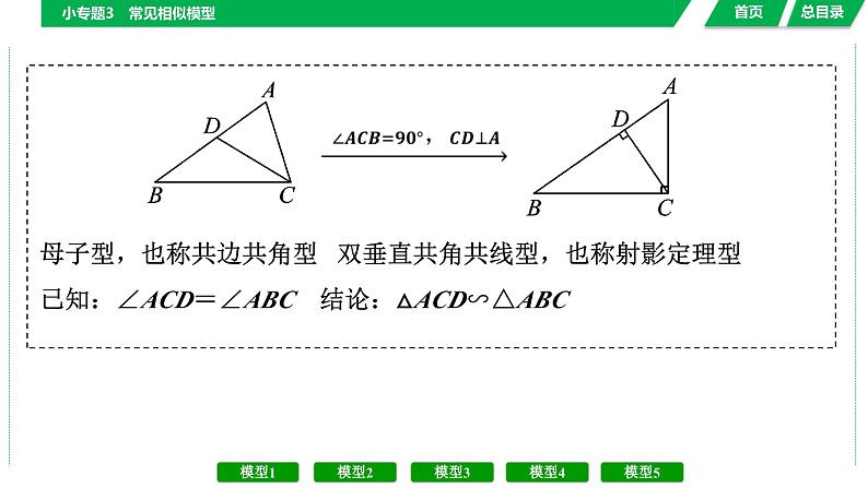 中考数学复习课件  小专题3　常见相似模型第5页