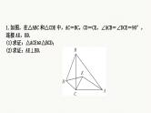 中考数学二轮复习专题课件重难突破微专题　手拉手模型